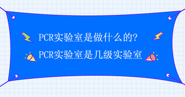 PCRʲô?PCRǎ׼