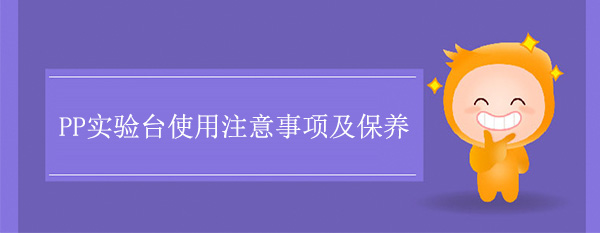 PP_ʹע헼B