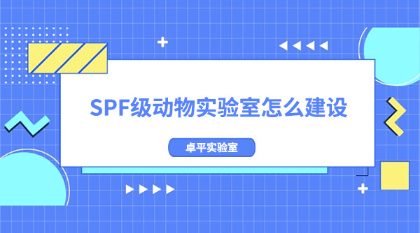 SPFôO